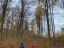 Sport im Wald